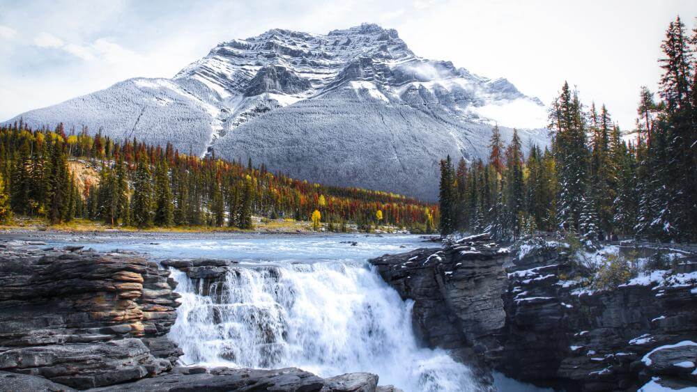 athabasca falls jasper national park product page