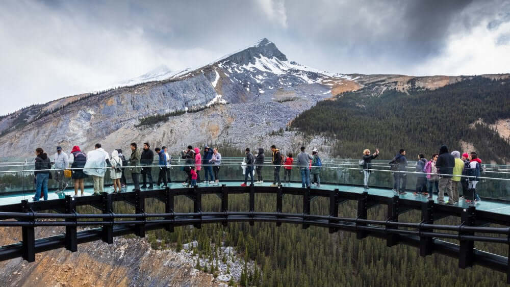things to do banner image for canmore product page, glacier skywalk jasper