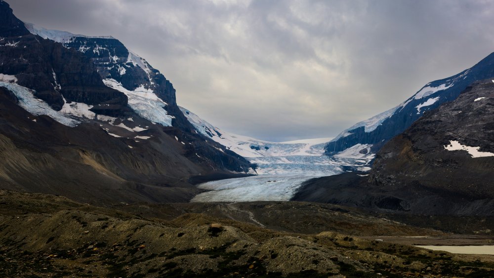 columbia icefields pic looking up the center of the glacier from the road