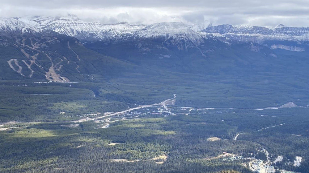 Lake Louise Region from top of Ski gives you the best view of what the world comes to see. 