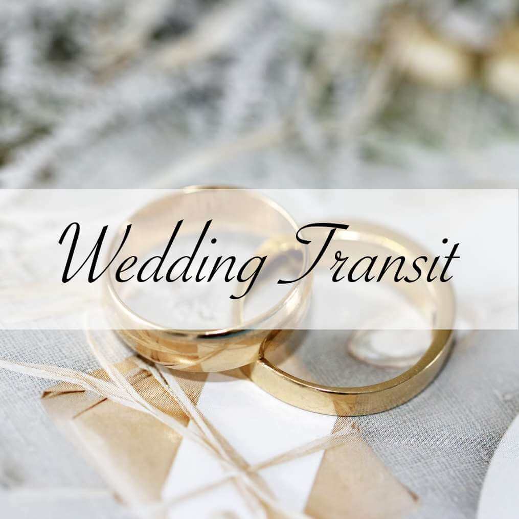 Wedding Transportation in the Rockies.   We can get all your guest safely back to their hotels for your special day.   We have several plans for your best options for your wedding. 