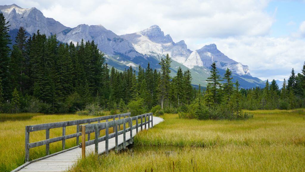 canmore walkway bridge looking at rundel mountains through marsh near downtown canmore gallery pic 