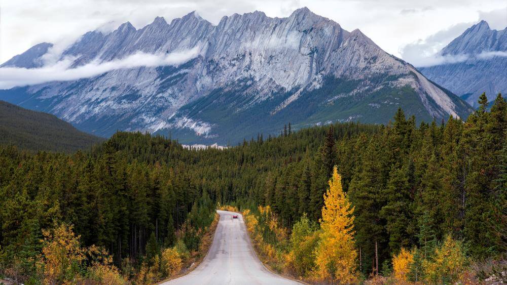 Jasper Highway Tour