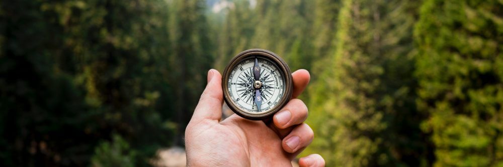 search box banner image 3x1 1000