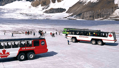 Columbia Icefield Glacier Adventure - Jasper, Alberta Attraction