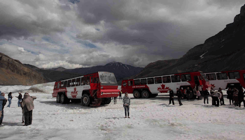Columbia Icefield Glacier Adventure - Jasper, Alberta Attraction