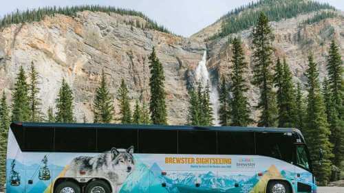 The Elite of Sightseeing Tours.  Brewster Sightseeing tours have been around since 1902.  Brewster Company knows travel, sightseeing and provides an easy use way to see all the locations and gives you the freedom to take in all the views with zero hassles.   Take the professionals that everyone else is trying copy 