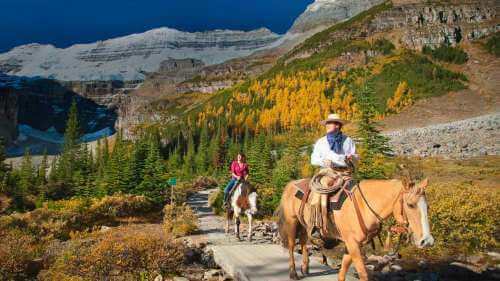 Brewsters Lake Louise Stables - Banff National Park Horse Back Riding